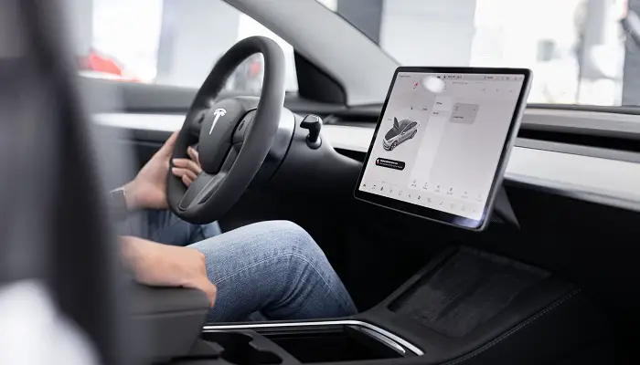 tesla coolest hidden features