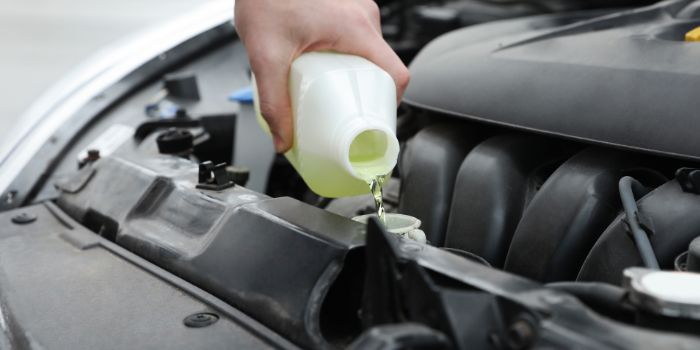 Dangers of Antifreeze